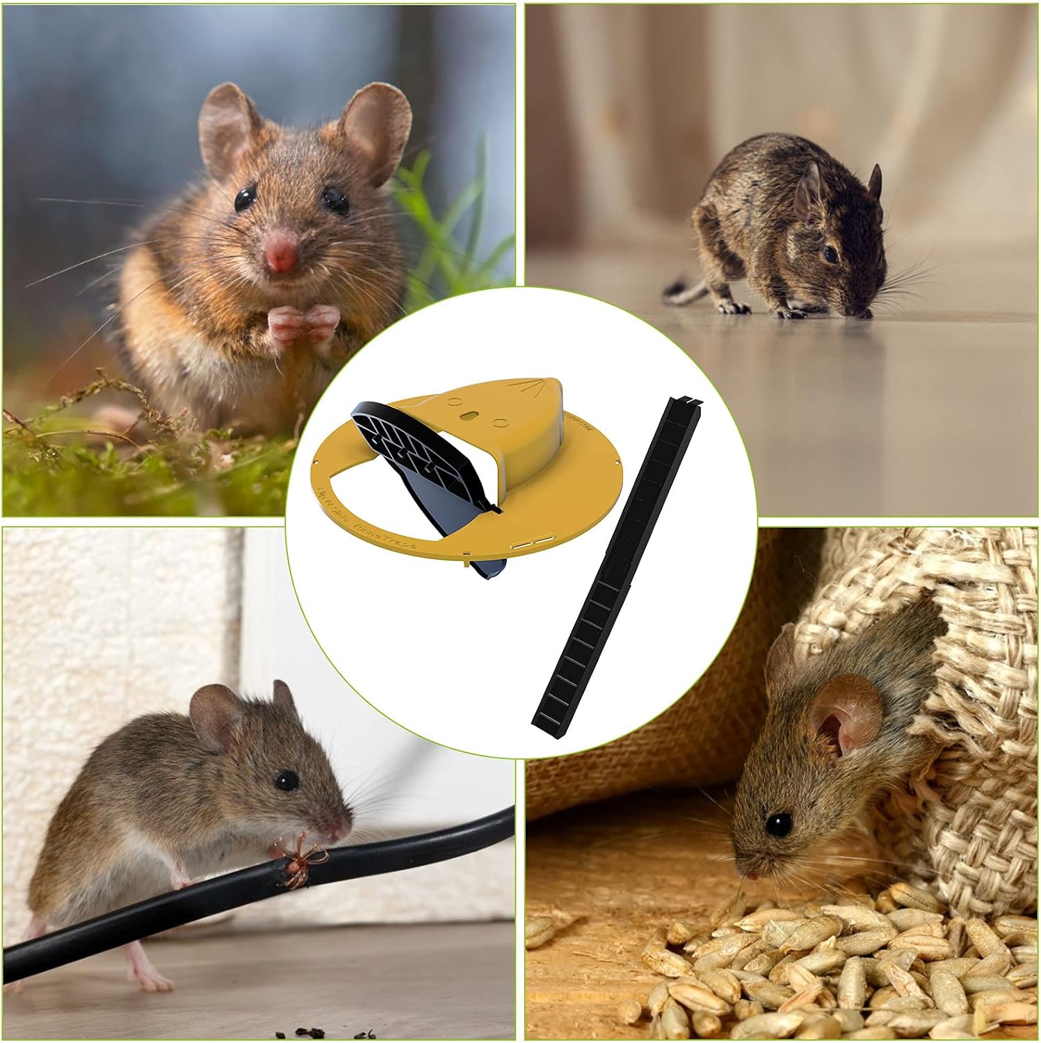 Trampas para Ratones - additional image 4